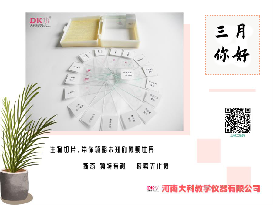 切片標本簡易（yì）植物細胞切片的（de）染色（sè）方法（fǎ）
