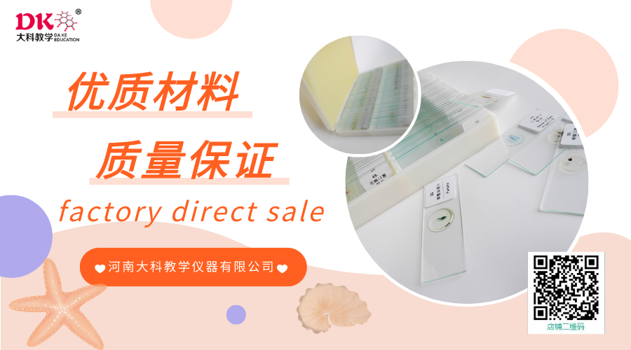 生物標本的裝（zhuāng）訂工藝