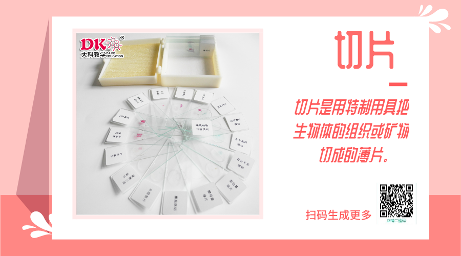 病理切（qiē）片的製作過程