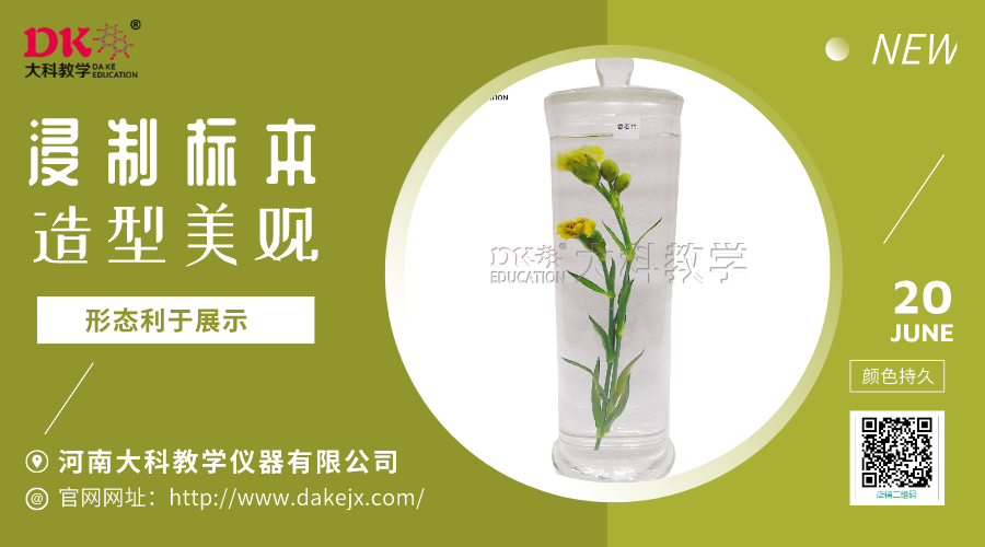 植（zhí）物（wù）浸製（zhì）標本的（de）製作