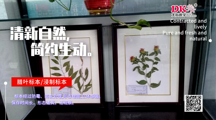 植物標本根據使（shǐ）用目的分類