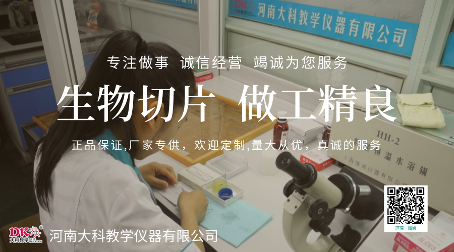 生物標本在教學中（zhōng）的作用