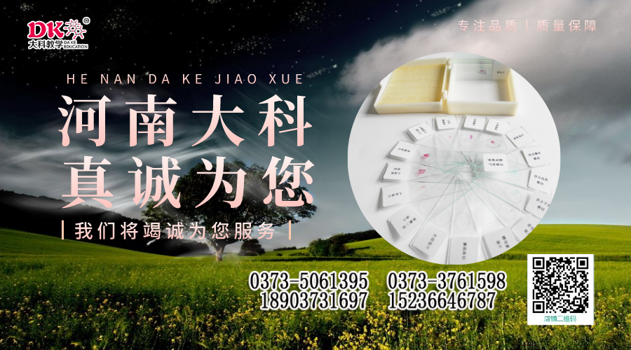 昆（kūn）蟲標本的製作方法
