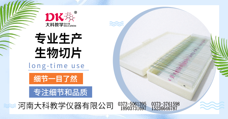 石蠟切片和冰凍切（qiē）片的區別