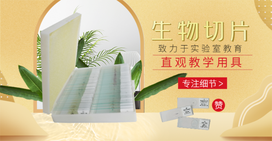 稿定設計導出-20200424-160732