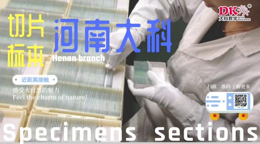 默認標題_橫版海報_2020-07-15-0