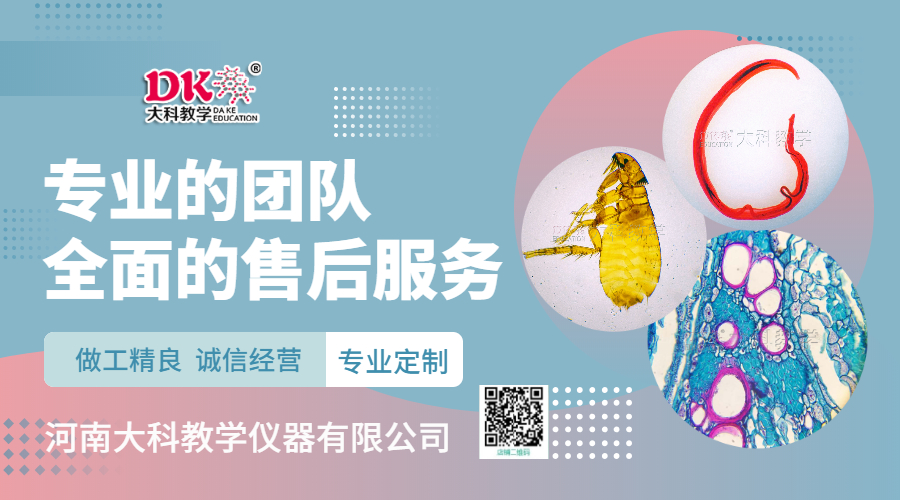 大科官網（wǎng）插圖 (2)
